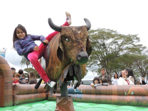 Touro Mecânico Play Park2